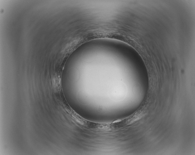 X0000069380624200605192150