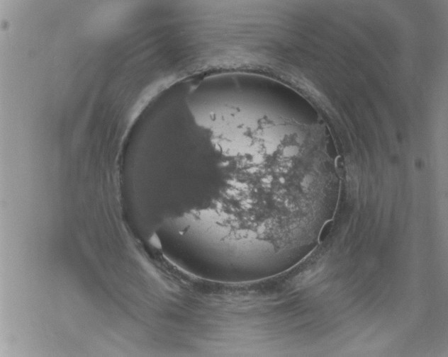 X0000069380626200605192150