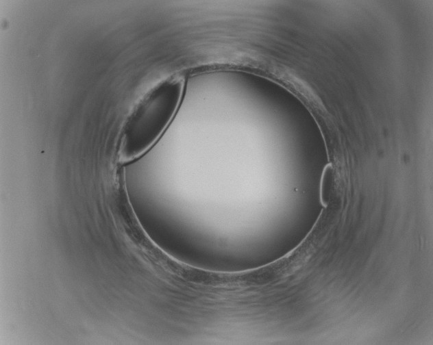 X0000069380628200605192150