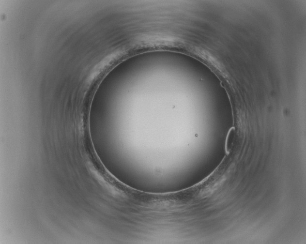 X0000069380629200605192150