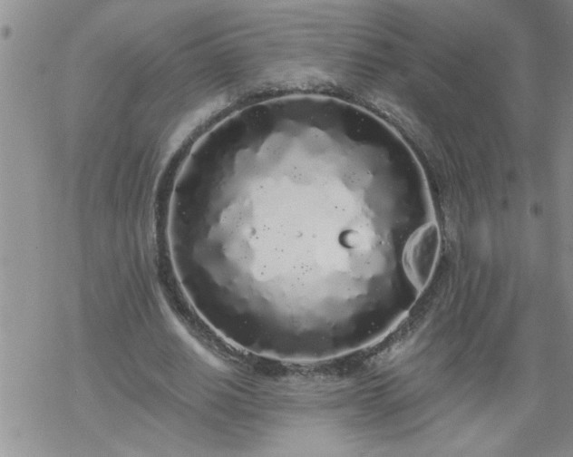 X0000069380630200605192150