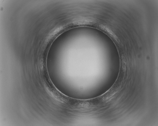 X0000069380631200605192150