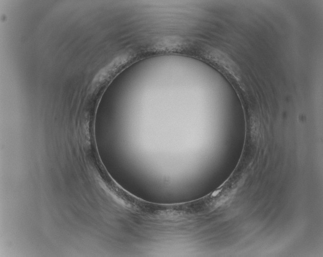 X0000069380633200605192150