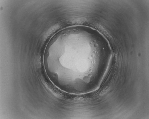 X0000069380634200605192150