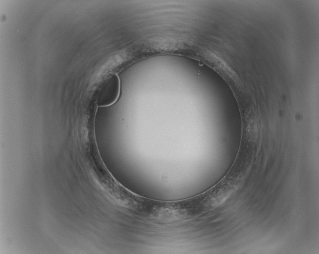 X0000069380635200605192150