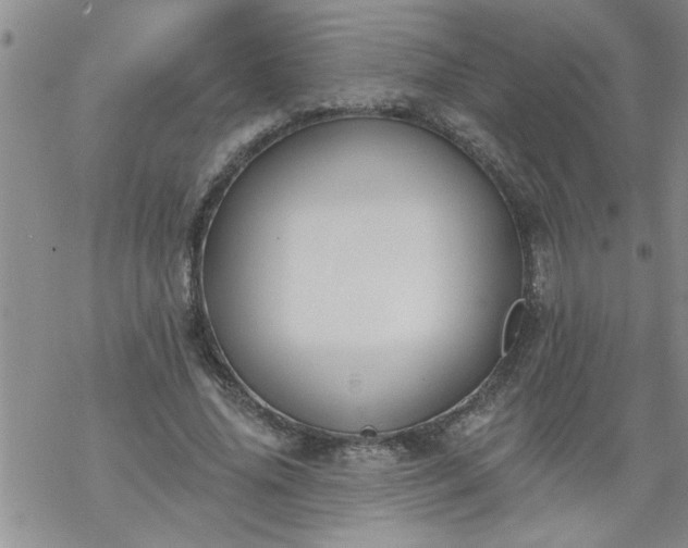 X0000069380636200605192150