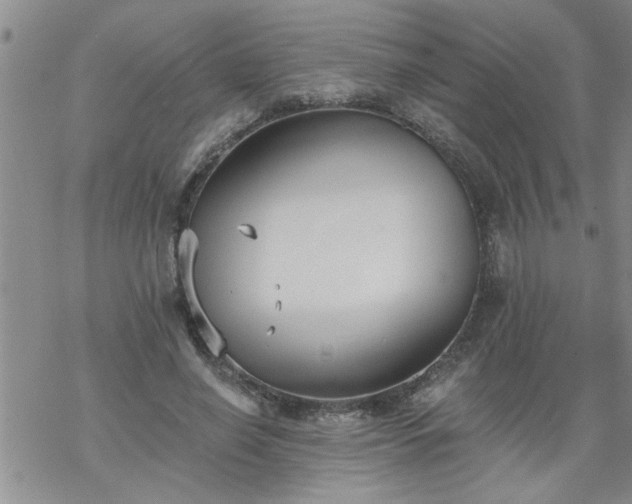 X0000069380638200605192150