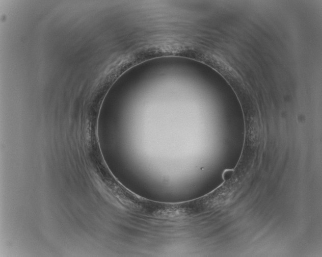 X0000069380639200605192150