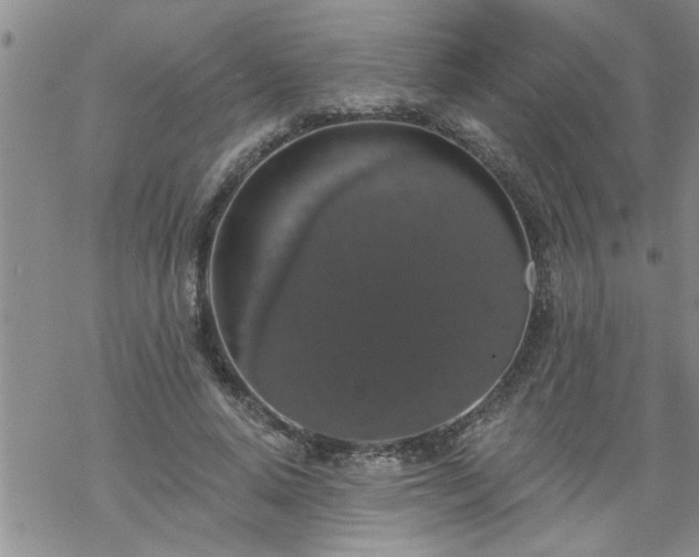 X0000069380640200605192150