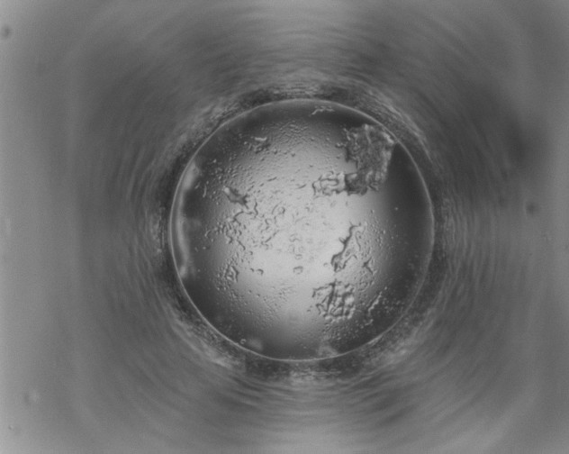 X0000069380641200605192150