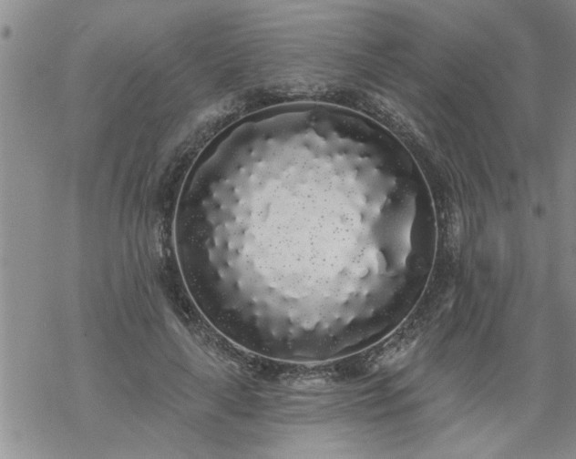 X0000069380643200605192150