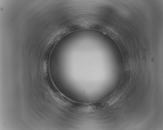 X0000069380646200605192150