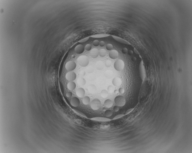 X0000069380647200605192150