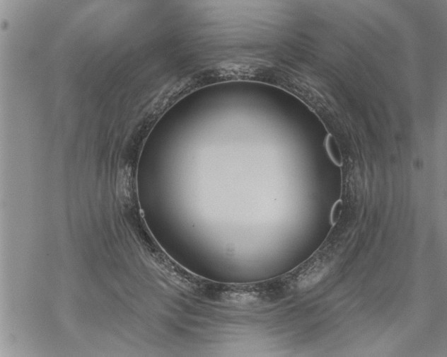 X0000069380649200605192150