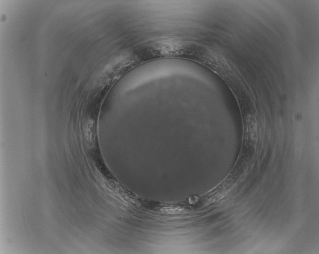 X0000069380650200605192150