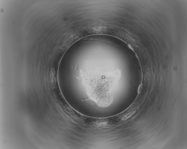 X0000069380651200605192150