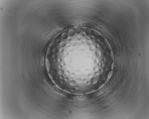 X0000069380652200605192150