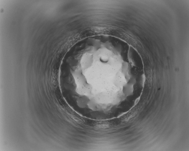 X0000069380653200605192150