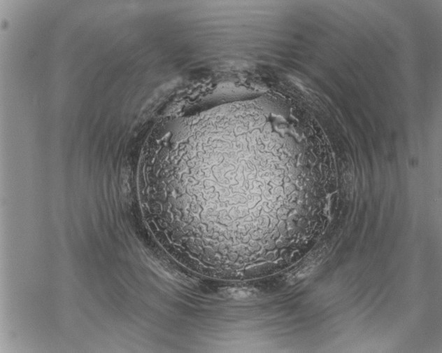 X0000069380654200605192150