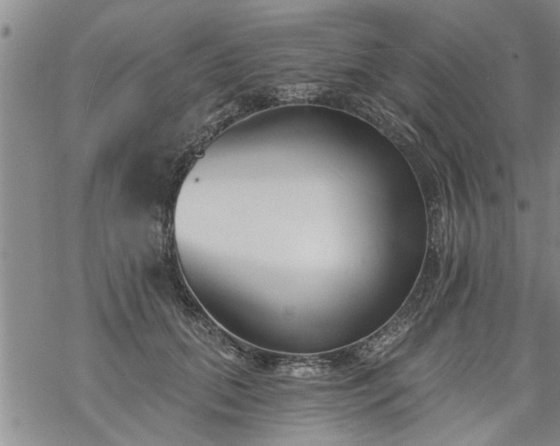 X0000069380655200605192150