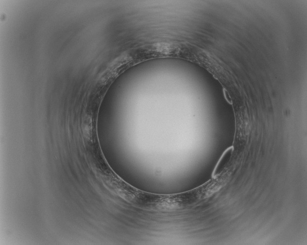 X0000069380656200605192150