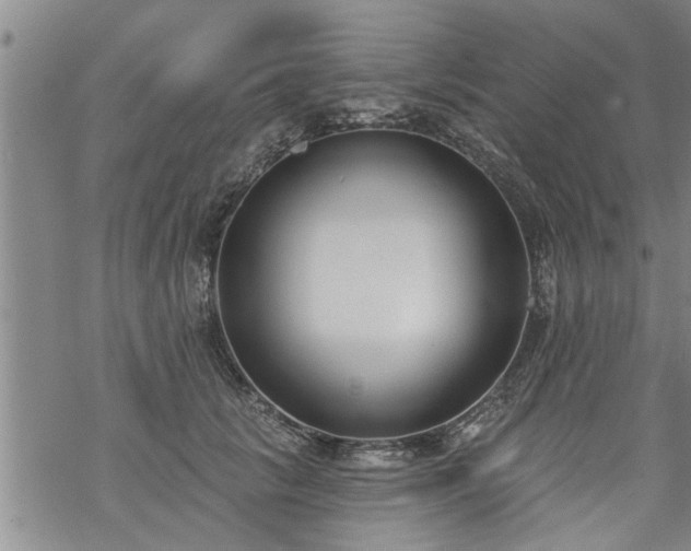 X0000069380657200605192150