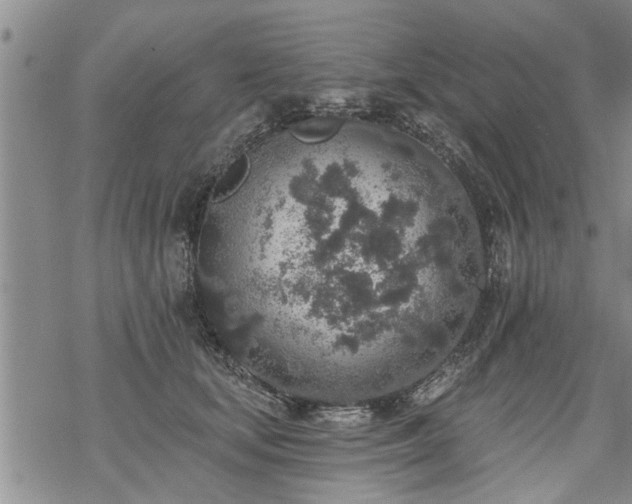 X0000069380659200605192150