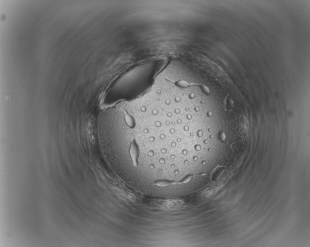 X0000069380663200605192150