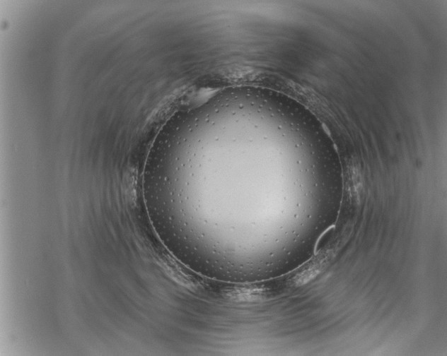 X0000069380664200605192150