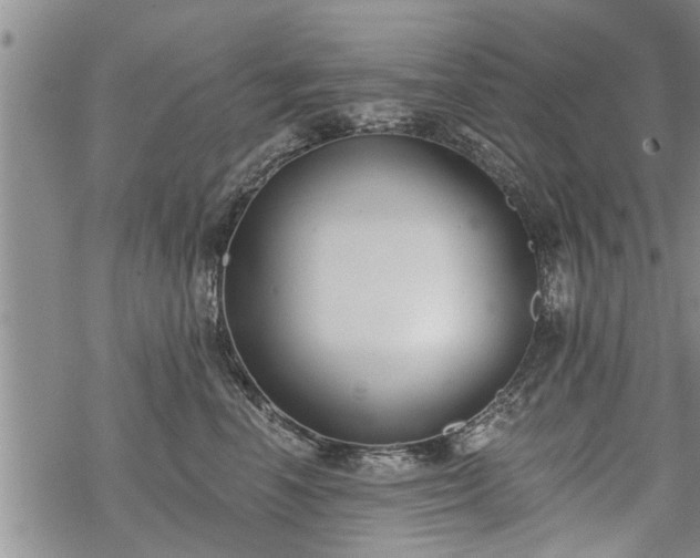 X0000069380666200605192150