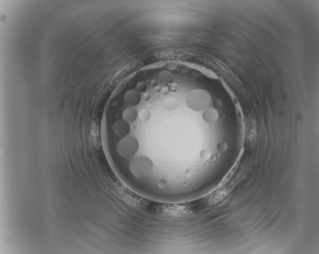 X0000069380669200605192150