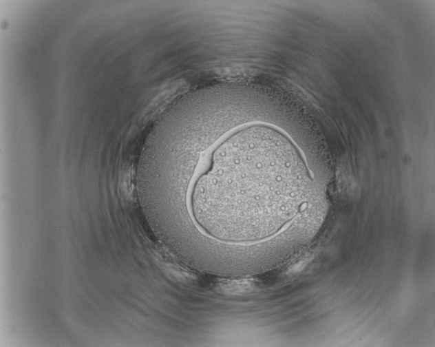 X0000069380671200605192150