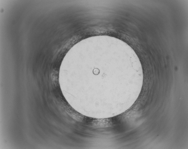 X0000069380672200605192150