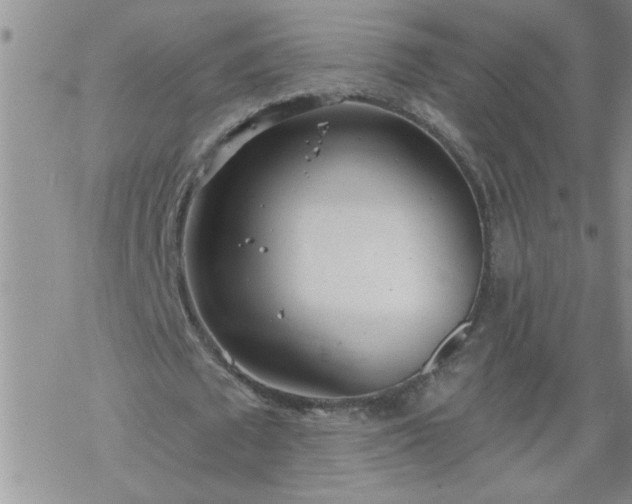 X0000069380673200605192149