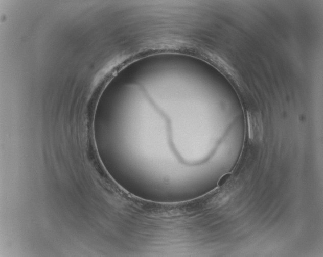 X0000069380675200605192149