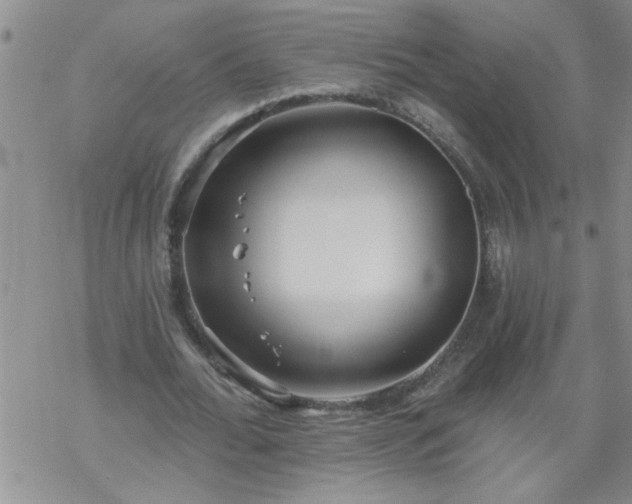 X0000069380676200605192149