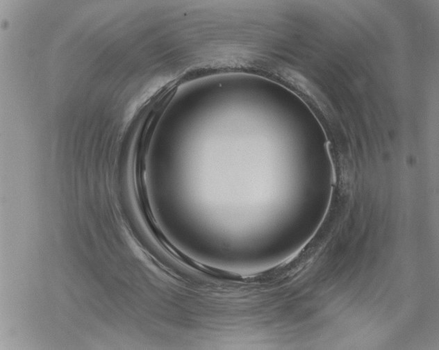 X0000069380677200605192149