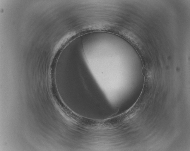 X0000069380678200605192149