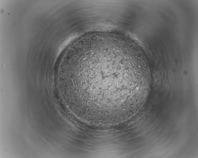 X0000069380679200605192149