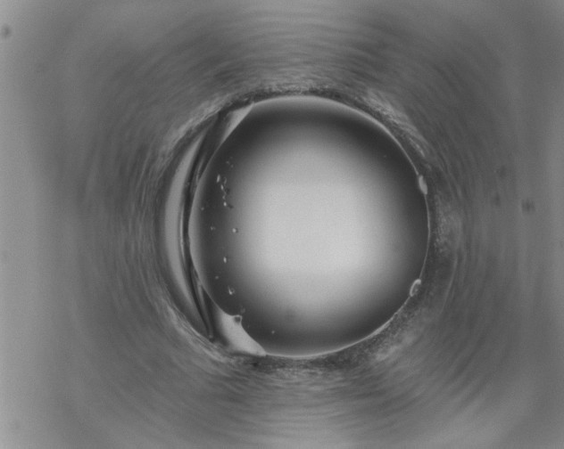 X0000069380681200605192149