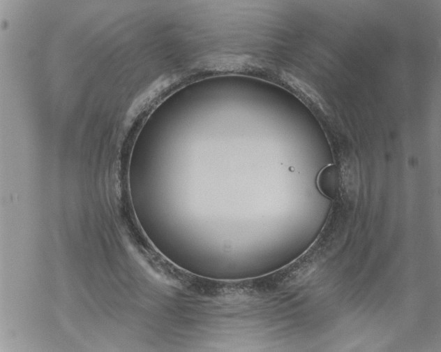 X0000069380682200605192149