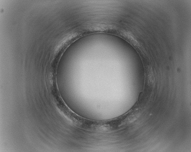 X0000069380683200605192149