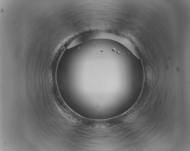 X0000069380684200605192149