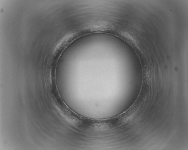 X0000069380686200605192149