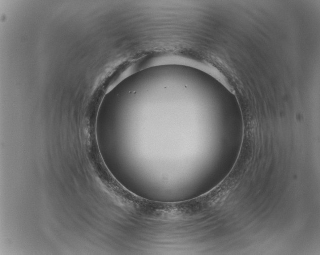 X0000069380688200605192149