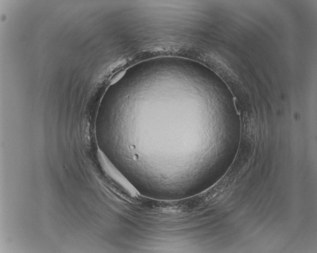 X0000069380692200605192149