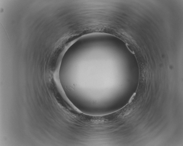 X0000069380693200605192149