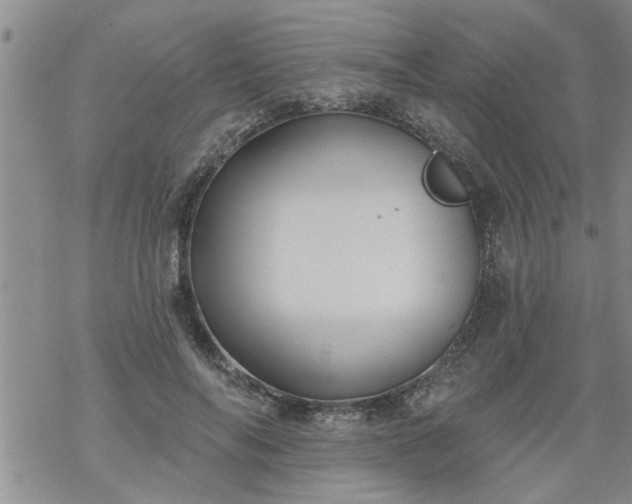 X0000069380694200605192149