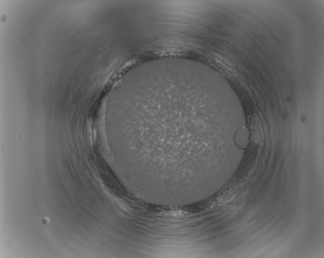 X0000069380695200605192149