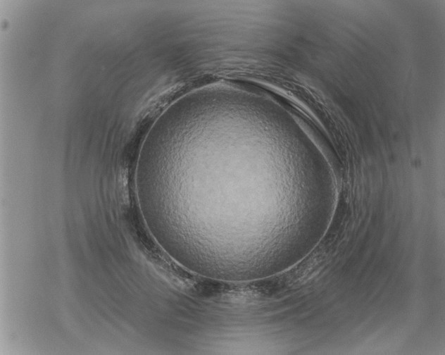 X0000069380696200605192149